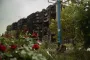 "Могильные цветы": украинцев в сети возмутило фото роз в Покровске