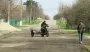 Селянам хотят оказать важную помощь: успейте до конца августа