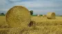 Украину накроет похолодание: как изменится погода на следующей неделе