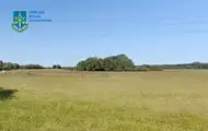 На Київщині викрили земельну аферу, яку організувала депутатка