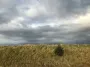 В Украине объявлено штормовое предупреждение: какие области накроет непогода