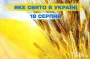 Яке завтра, 18 серпня, свято — все про цей день, яке церковне свято, що не можна робити