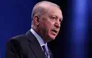Эрдоган сделал заявление по поводу трехсторонних переговоров с Зеленским