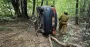 На Буковині авто злетіло з дороги та перекинулось: є постраждалі