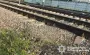 На Київщині під колесами потягу загинула жінка