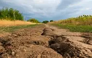 Континенти Землі висихають із безпрецедентною швидкістю - дослідження