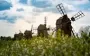 Гороскоп для всіх знаків зодіаку на 20 серпня 2025 року