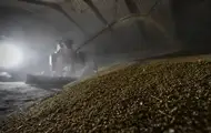 Россия теряет позиции крупнейшего агроэкспортера - разведка