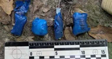 У Голосіївському парку затримали киянина з 79 "закладками" психотропів