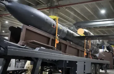 Боевой потенциал "Фламинго": стали известны дополнительные характеристики ракеты (фото)