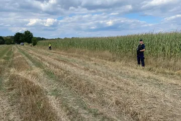 An unidentified flying object has crashed and exploded in Poland's east