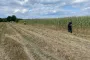 An unidentified flying object has crashed and exploded in Poland's east