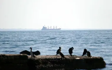 На військовому кораблі США біля Окінави спалахнула масштабна пожежа: є постраждалі