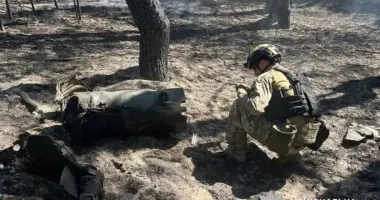 Опасная находка в лесу: на Полтавщине обезвредили боевую часть ракеты
