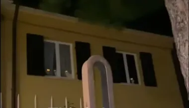Хозяин семи кошек вернулся домой и увидел в окне нечто невероятное (видео)