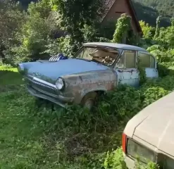 Ржавая классика: в Украине обнаружили кладбище ретроавто (видео)