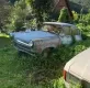 Ржавая классика: в Украине обнаружили кладбище ретроавто (видео)