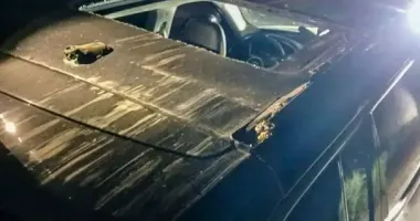В Полтаве дерево упало на автомобиль: пострадали женщина с ребенком