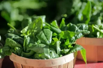 Чим небезпечний дефіцит заліза та хто у групі ризику