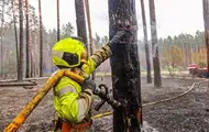 На Харківщині ліквідували масштабну лісову пожежі