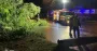 В Днепре на дорогу упало дерево и заблокировало движение: работали спасатели