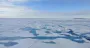 Скорость таяния арктических морских льдов удивила ученых: что изменилось за последние 20 лет
