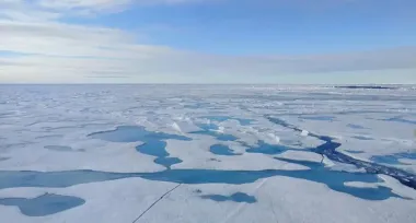 Скорость таяния арктических морских льдов удивила ученых: что изменилось за последние 20 лет