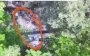 Border guards destroyed 8 vehicles, UAV launch site and 4 Russian shelters in South-Slobozhanskyi direction. VIDEO