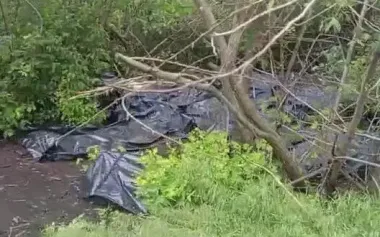 "Cargo 200" awaits trip to Russia: Russian soldier stumbles upon heap of occupiers’ bodies in bushes. VIDEO
