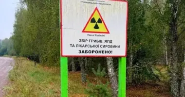 В Житомирской области остановили работу схемы выращивания сельхозпродукции на радиационно загрязненных землях