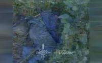 Ukrainian drones turn Pokrovsk direction into trap for occupiers – Rubizh Brigade eliminates enemy. VIDEO