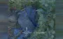 Ukrainian drones turn Pokrovsk direction into trap for occupiers – Rubizh Brigade eliminates enemy. VIDEO