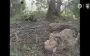 Target found, strike delivered - "Madyar’s Birds" tally Russian occupiers killed near Pokrovsk. VIDEO