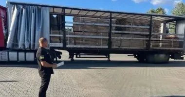 Житомирське підприємство викрили на незаконному експорті деревини на 17,5 млн грн
