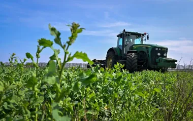 Українські фермери продавали врожай з радіоактивних земель, - ОГП