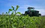 Українські фермери продавали врожай з радіоактивних земель, - ОГП