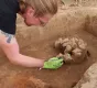 Археологи нашли неолитическое поселение в неожиданном месте: что известно (фото)