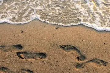 Необычная находка: вместо камня мужчина нашел "капсулу времени" (видео)