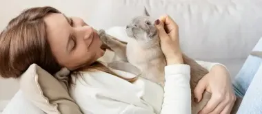 Почему котики будят вас каждое утро и как их отучить от этого