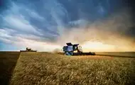 Украина сохраняет урожай зерновых на уровне прошлого года