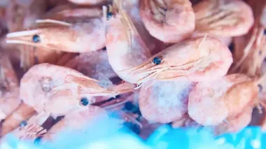 Светятся в ночи: люди взволнованы тем, что морепродукты, которые мы едим, источают свет