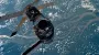 Неизвестный голос из космоса: астронавт NASA разыграл Центр управления полетами (фото)