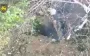 Russian soldier wounded by jet stream while firing RPG in Lyman direction. VIDEO