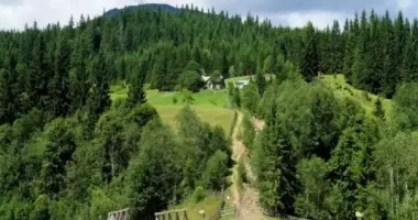 На Прикарпатье в горах обнаружили человеческий скелет