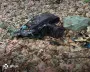 Жуткая находка в горах: в Карпатах пограничники наткнулись на останки людей (фото)