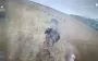 FPV drones of Ukrainian border guards destroyed occupiers hiding in bushes. VIDEO