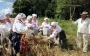 Как украинцы в древности отмечали Обжинки: значение праздника, традиции и обряды