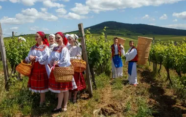 Дегустации, подвалы и ужины среди виноградников: топ-локации для винного туризма в Украине