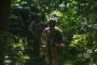 "Настаивают сами командиры": нардеп Ионушас о законопроекте о наказаниях за невыполнение приказов
