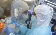 Новые штаммы COVID-19: особенности и количество заболевших в Украине